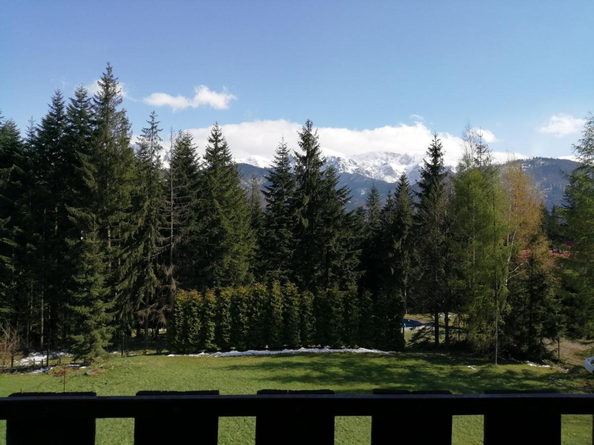 Апартаменты Drewniany Pokoik Tatra Travel Косцелиско Экстерьер фото